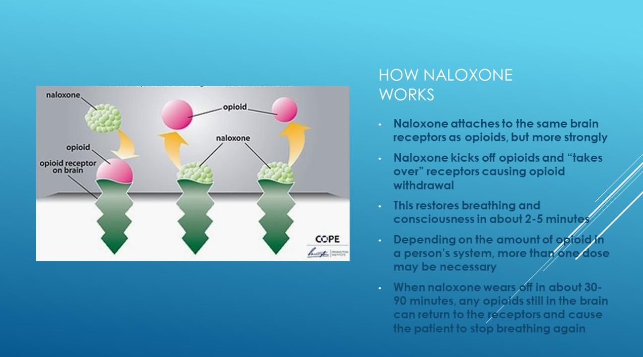How does Narcan work?