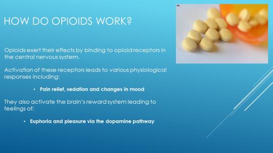 Description of how opioids work