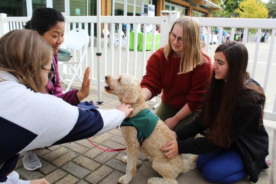 Photo of students playing with dogs